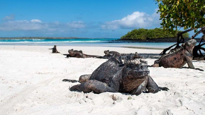 Galapagos Adaları, Ekvador