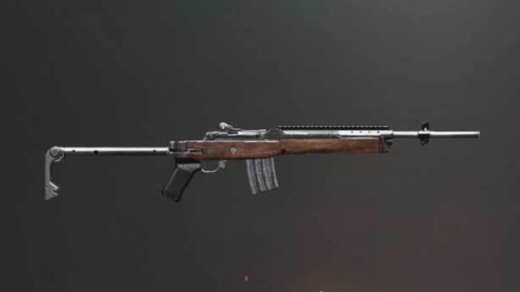 Mini 14